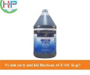 vi-sinh-xu-ly-mui-hoi